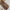 Premium Turkish – Slub Textured (Wider Width) – Coffee