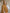 Expressions Turkish Lawn (Wider Width) Lace Hijab - Burnt Mustard