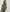Windblown Printed Lawn Hijab - Green