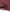 Premium Turkish Dupatta (Imported Fabric) - Raspberry