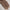 Premium Turkish – Slub Textured (Regular Width) – Coffee