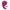 Crimps – Fuchsia