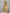 Rawaa Pleated Hijabs – Beige
