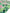 Serein Lawn Printed Hijabs - Forest