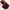 Starlit Organza Shimmer - Plum