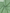 Georgette – Spring Green
