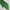 Premium Turkish – Slub Textured (Regular Width) – Apple Green