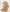 Sparkles Hijabs – Beige