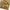 Plain Woolen Cashmere - Peanut
