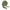 Crimps – Sage Green
