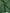 Glitter Lawn - Forest Green