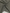 Glitter Lawn - Smoke Grey
