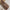 Premium Turkish – Slub Textured (Regular Width) – Coffee