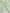 Glitter Lawn - Mint