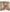 Maple Lawn Printed Hijabs - Rosestone