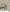 Premium Turkish Dupatta (Imported Fabric) - Faded Ivory