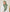 Premium Bamboo Jersey Hijab - Sage Green