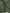 Glitter Lawn - Muted Green