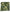 Windblown Printed Lawn Hijab - Green