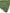 Rawaa Pleated Hijabs – Sage Green