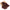 Starlit Organza Shimmer - Chocolate