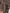 Wisp Crinkle Chiffon Hijabs – Taupe