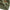 Plain Woolen Cashmere - Sage Green