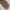 Premium Turkish – Slub Textured (Wider Width) – Coffee
