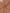 Georgette – Burnt Pink