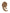 Crimps – Camel