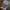 Pastel Woolens – Navy / Denim