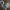 Pastel Woolens – Navy / Denim