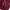 Plain Woolen Cashmere - Maroon