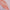 Premium Turkish – Slub Textured (Regular Width) – Peach