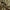 Metallics Gold Crinkle Silk Hijab – Bronze Gold