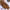 Premium Turkish – Slub Textured (Regular Width) – Russet