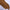 Premium Turkish – Slub Textured (Regular Width) – Russet