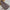 Premium Turkish – Slub Textured (Regular Width) – Lilac Grey