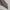 Premium Turkish – Slub Textured (Regular Width) – Lilac Grey