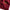 Plain Woolen Cashmere - Wine